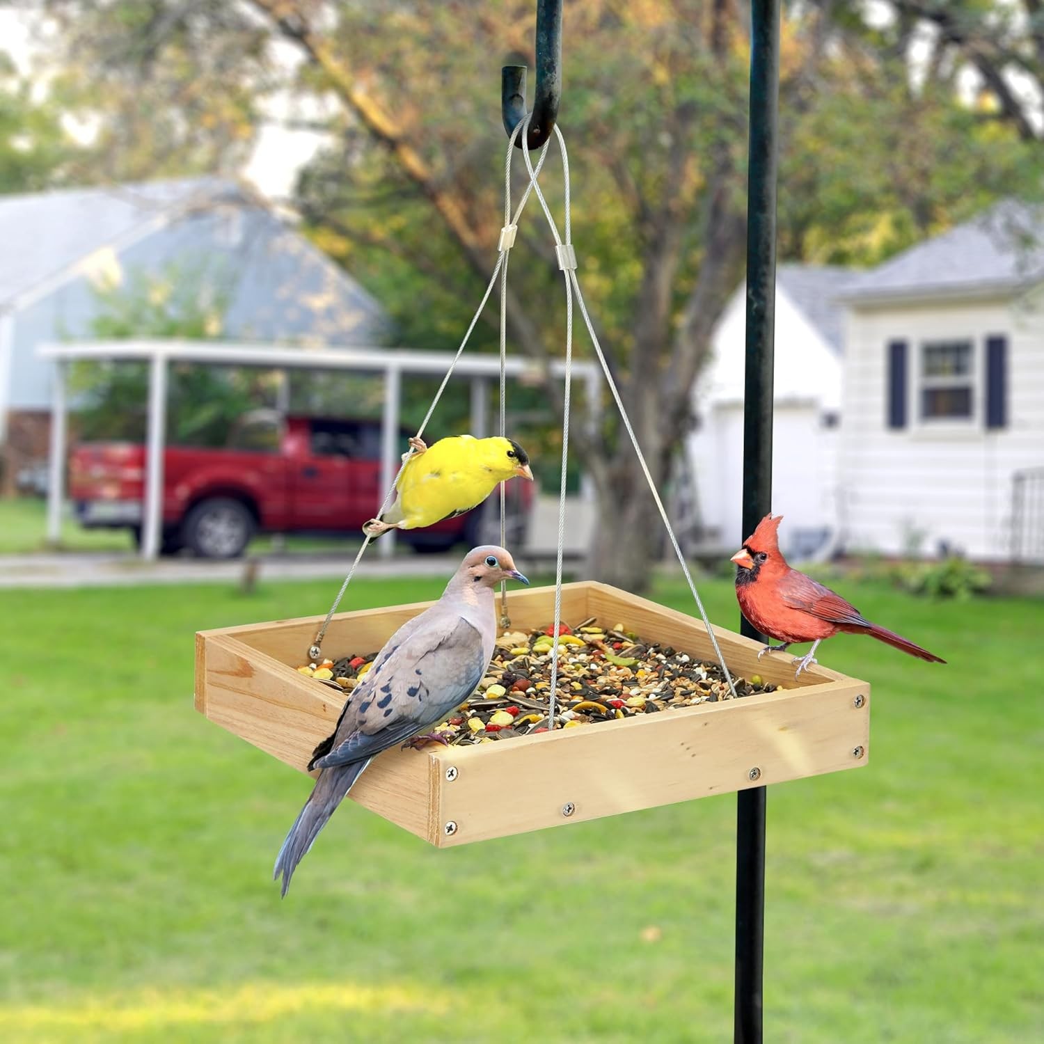 TT Nature Platform Bird Feeder for Outdoor, Eco-Friendly Wood Hanging Tray... 