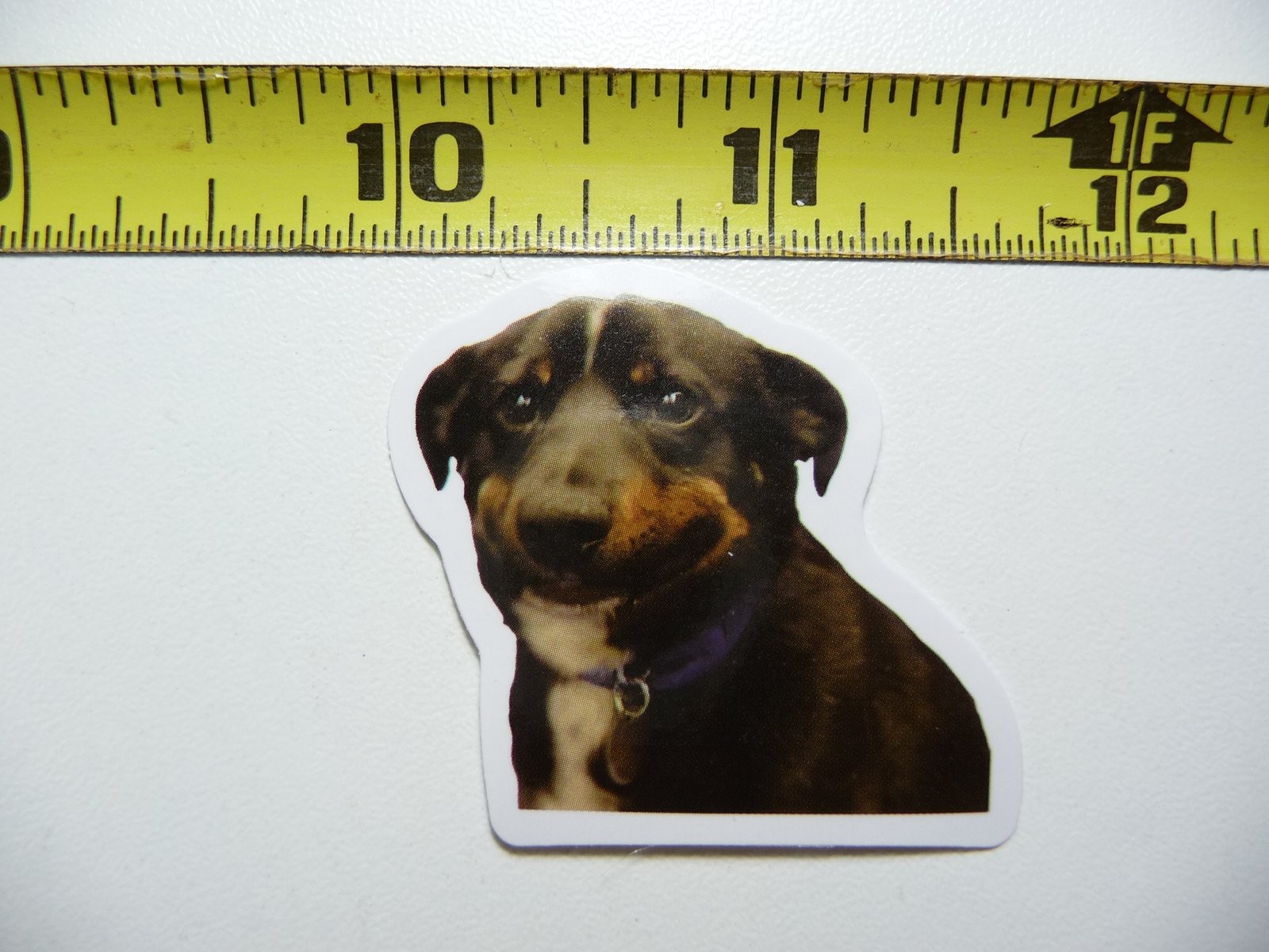 FUNNY CUTE DOG STICKER DECAL AX134 WALK SMILE SMALL SIZE FUN HI PET