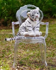 White Tiger - Realistic Handmade toy by Elena Fedoryak / KittenBlackUA