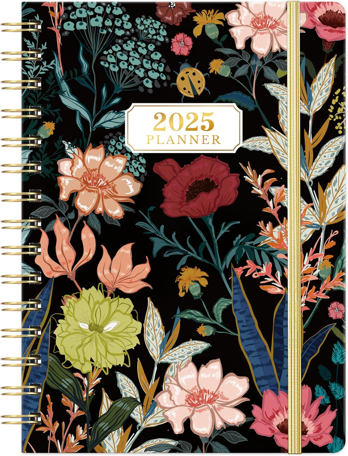 Planner 2025-2025 Calendar/Planner Weekly and Monthly, JAN.2025 - DEC.2025, 6.4