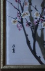 Foto 6 di 9
