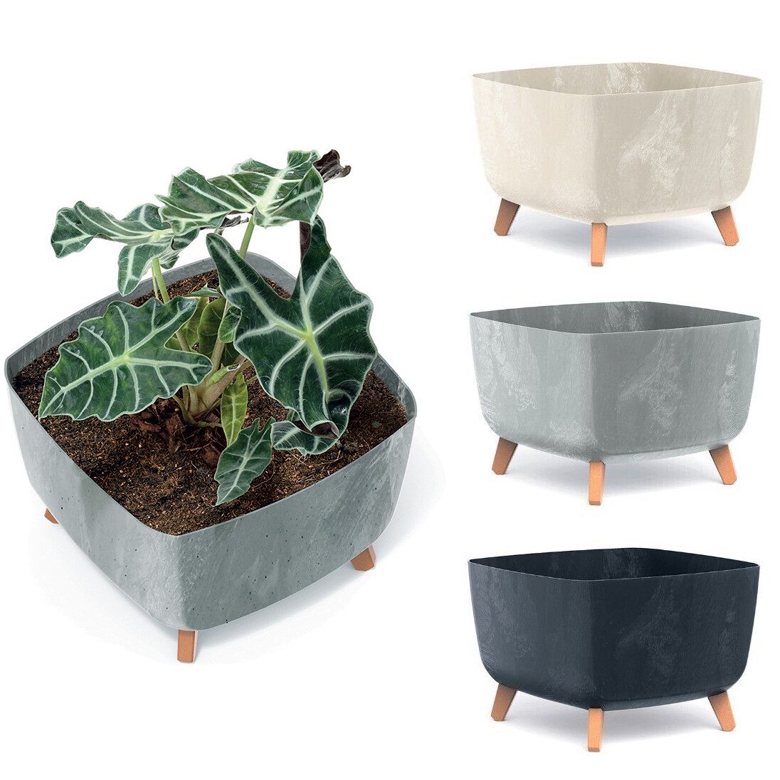 Large Bowl Planter Available in 3 Different Colours