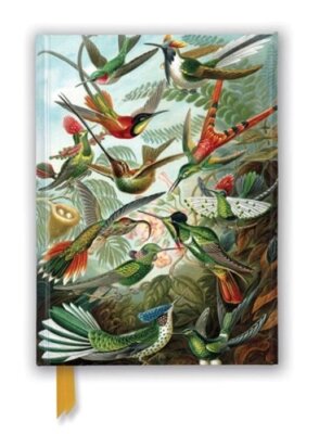 Ernst Haeckel: Hummingbirds (Foiled Journal) by Flame Tree Studio: New
