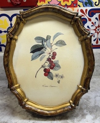 French Fruit Antique Print With Ornate Wooden Octagonal Frame With Gold 9 X 11