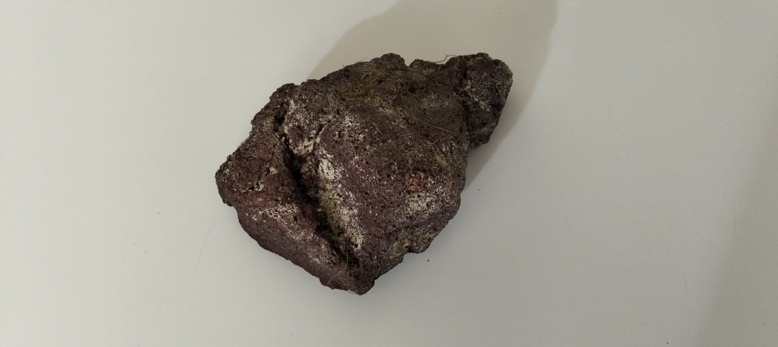 Roccia Per Acquario