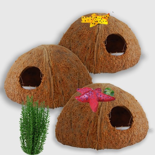 One Side Hole 3pcs Coconut Shell Aquarium For Fish Tank Décor Hideout Place Frog - Picture 10 of 14