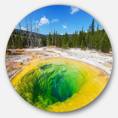 Designart 'Morning Glory Pool Close-up' Landscape Photo Green 11 x 11 - disc of