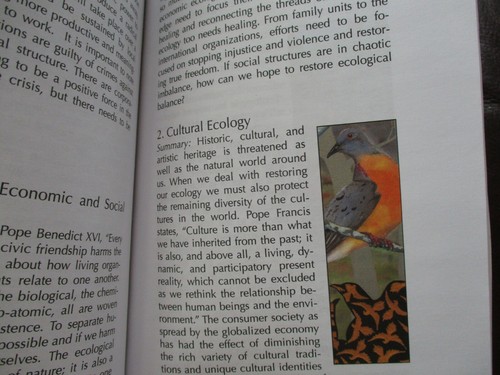 Restoration of Our Common Home - Pope Francis Encyclical Letter - McGinnis FS - Picture 5 of 7