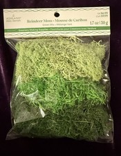 NEW ASHLAND REINDEER MOSS Green Mix FLORAL LANDSCAPE 1.7oz Greenery Supplies