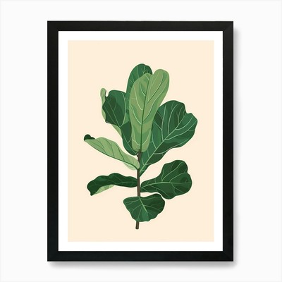 Fiddle Leaf Fig Plant Minimalist Il Framed Wall Art Poster Canvas Print Picture