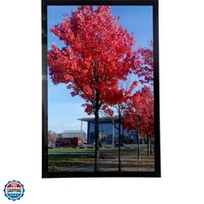 9x12 Picture Frame for Wall Black, Display Pictures 9x12 Document Certificate...