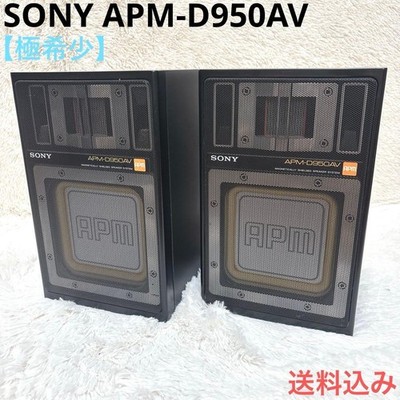 SONY APM-D950AV MAGNETISCH GESCHIRMTES LAUTSPRECHERSYSTEM NOM.30W MAX.60W 6Ω