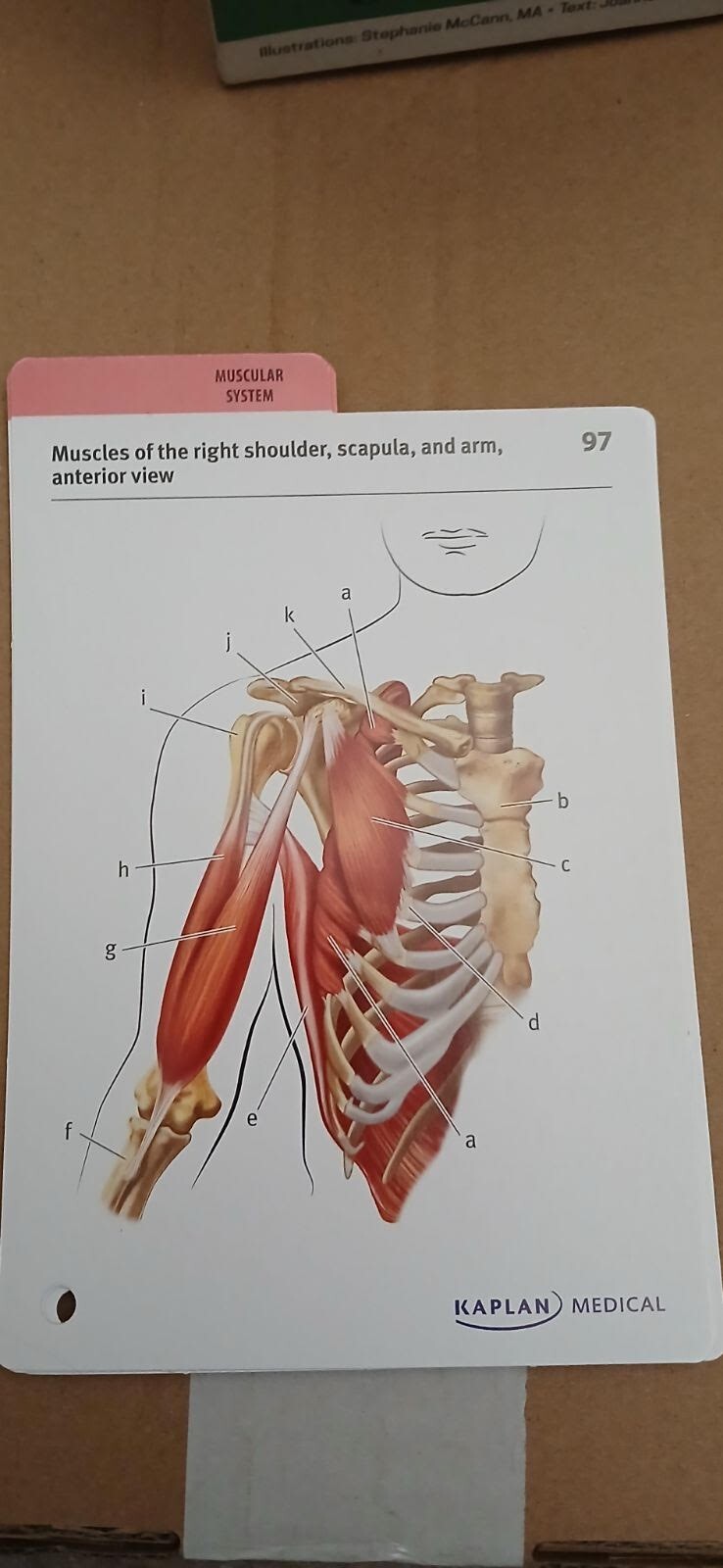 Picture 4 of 7