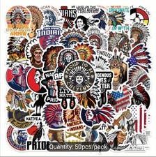10 PCS Mini Native American Native Indigenous Pride Stickers BRAND NEW