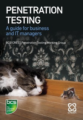 Penetration Testing A guide for business and IT managers Nick Furneaux (u. a.)