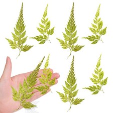 Real Dried Ferns Leaves, 42PCS Natural Yellow Pressed Ferns Leaves Plant Pres...