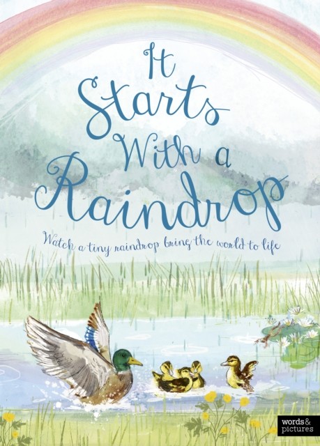 It Starts With A Raindrop by Aimee Gallagher (Hardback Book)