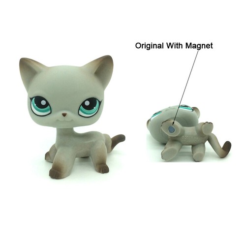 rabbit accessories shop near me