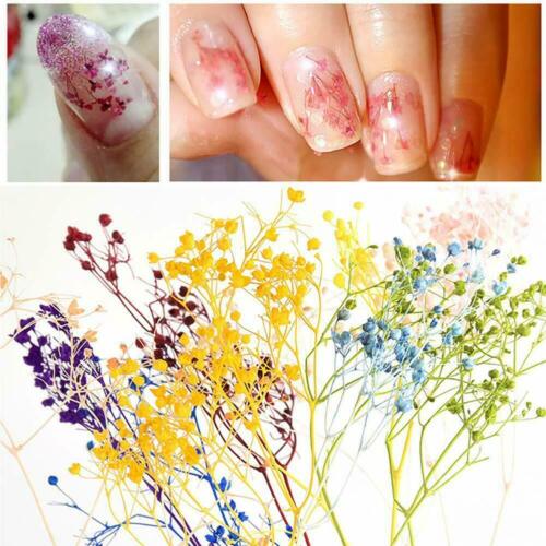 3D Mixed Dried Dry Flowers Nail Art Decoration Design DIY Tips Manicure with Box - Picture 4 of 8