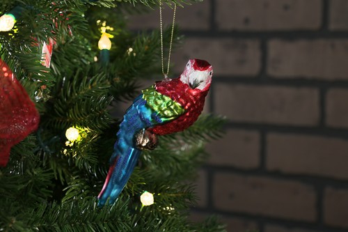 North Star Christmas | Macaw Glass Ornament | Animal Collection - Picture 2 of 7
