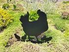 Metal Hen with chicks Garden Decor Rustic Hen with chicks Yard Art for Outdoor