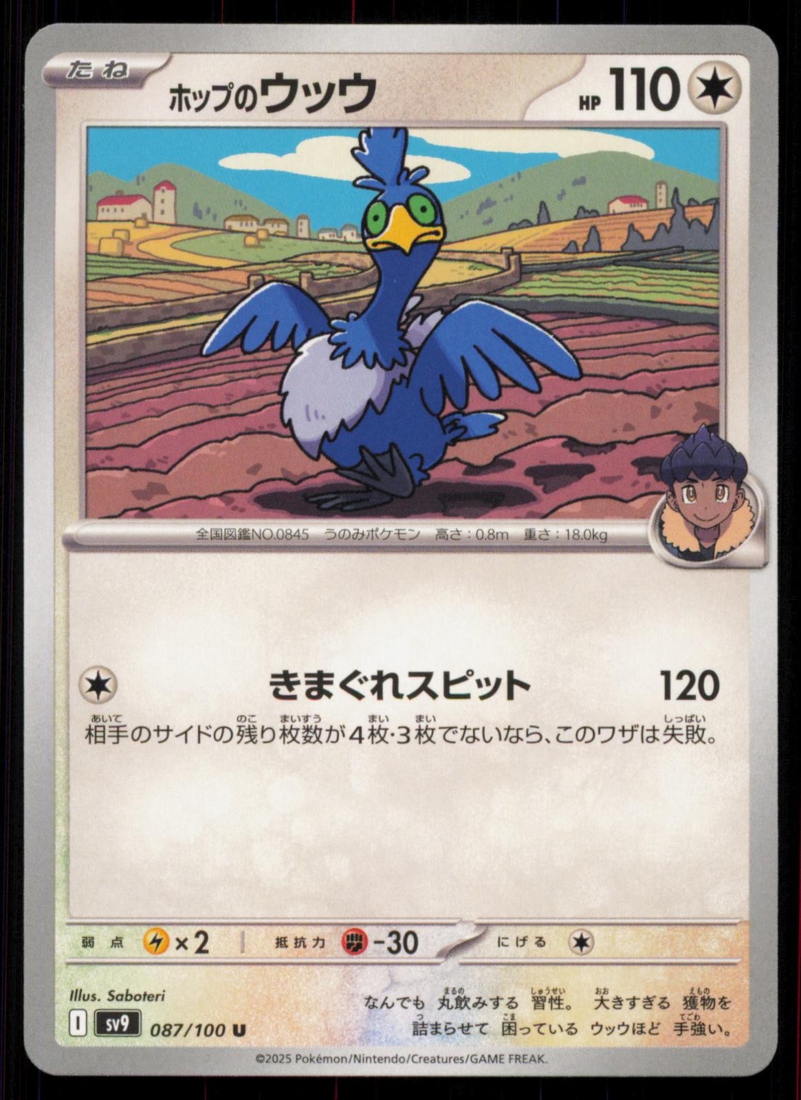 Hop's Cramorant 087/100 Battle Partners Uncommon Japanese Pokemon NM/M