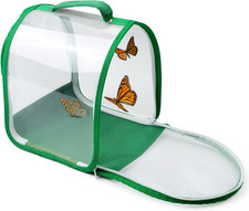 Small Butterfly Habitat, Insect Mesh Cage, Caterpillar Enclosure, Critter Cage,