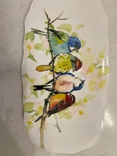 pier 1 imports plastic serving tray birds