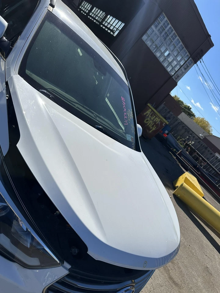 Capó 13 14 15 16 17 18 19 HYUNDAI SANTA FE Foto 2 de 4