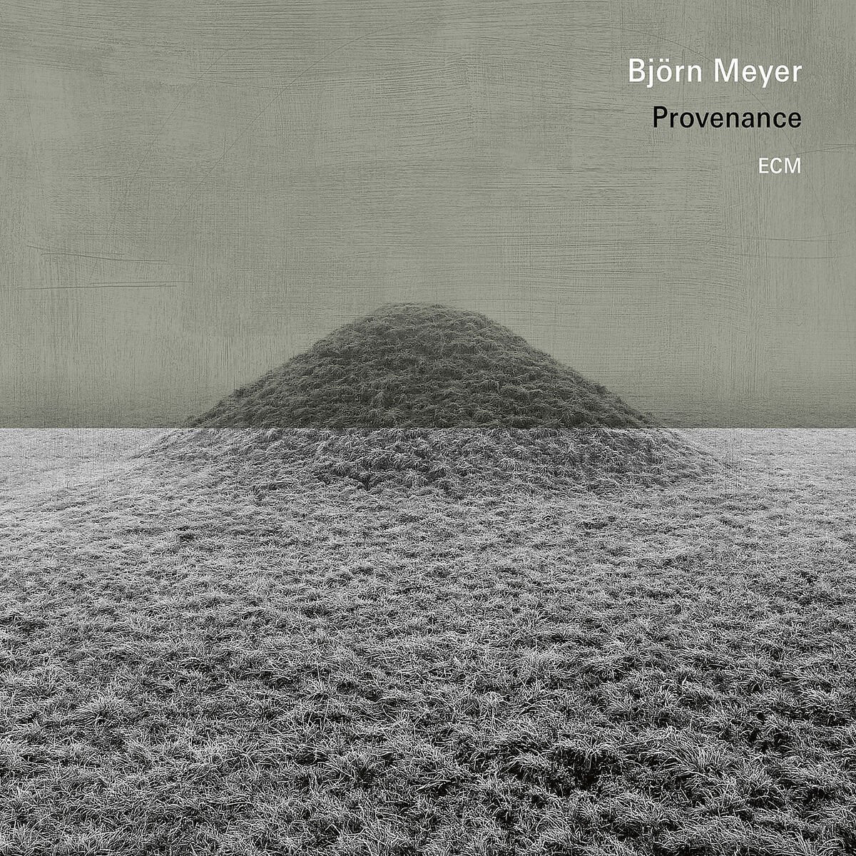 Bjorn Meyer Provenance (Vinyl LP) 12" Album