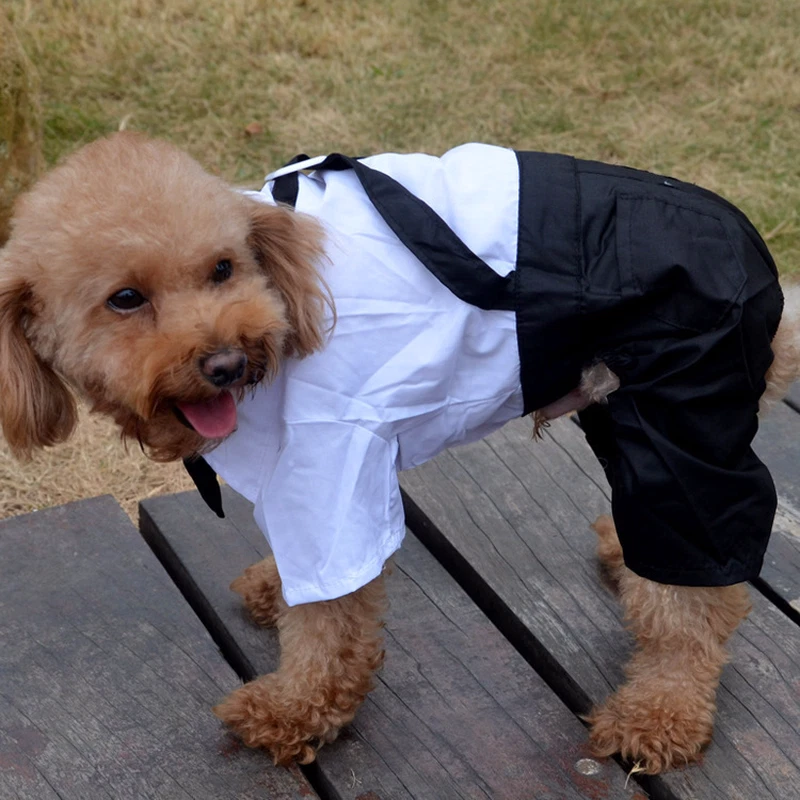 Small Pet Dog Clothes Men's Suit Boy Puppy Suspender Pant Apparel Jumpsuit  Shirt