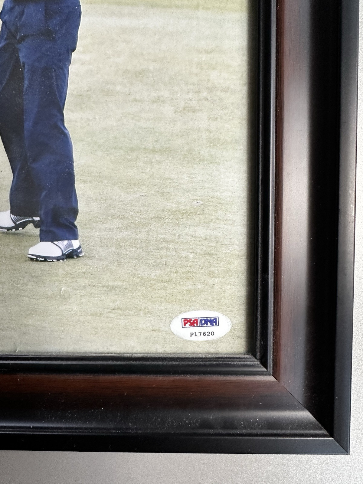 Padraig Harrington Signed 8x10 Autograph Framed Open Champ Carnoustie Auto PGA