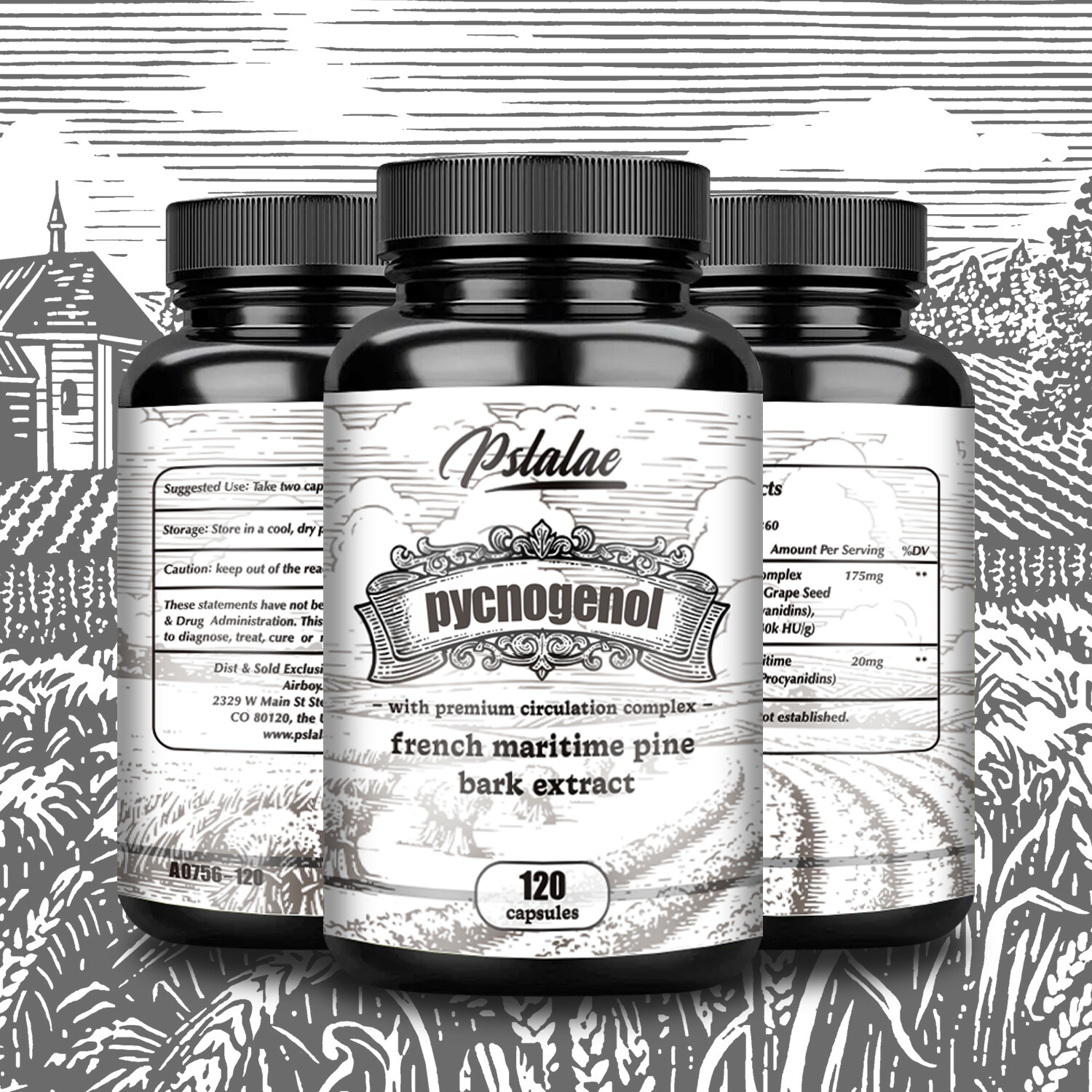 Pycnogenol 200 mg - Raíz de remolacha, extracto de corteza de pino marítimo francés - Sin gluten