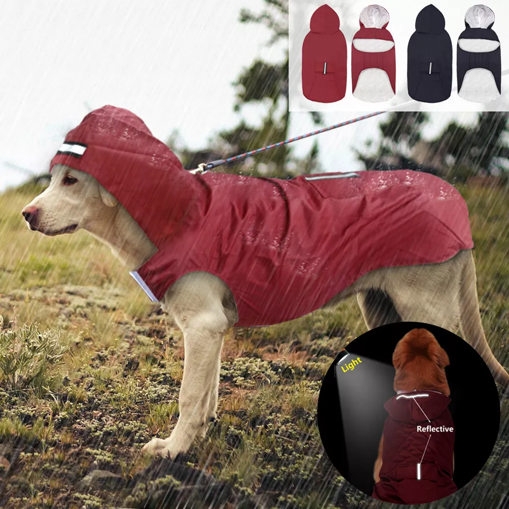 Manteau imperméable pour chien réfléchissant veste avec capuche 3