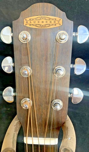 Blueberry Handmade Parlor Size Acoustic Guitar Pre-Order 90 Days - Picture 8 of 9