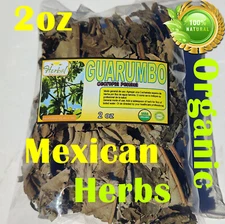 Guarumo Hierba Te, guarumbo, yagrumo, yarumo, Chancarro, Cecropia peltata !! 