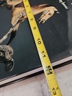 Foto 18 di 24