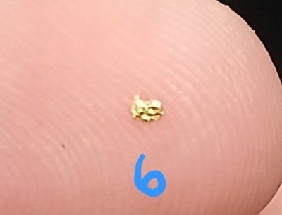 Captivating 23.7k Pure Gold Flake From Crisson Gold Mine Dahlonega GA Rare