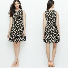 Ann Taylor Floral Embossed Fit & Flare Dress