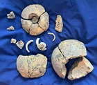 Complete Civil War Cannonball "Ground Burst" Fragments and Fuse - Vicksburg, MS!