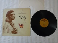 Jimi Hendrix Crash Landing Record LP Album 🎸 