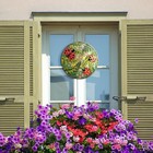 Bild 32 von 33