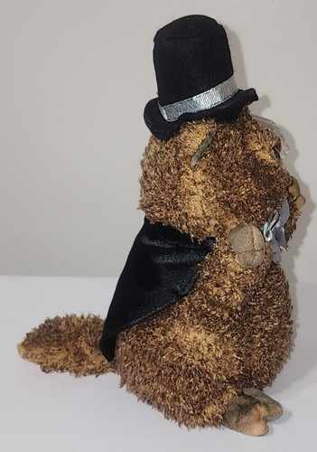 Ty Beanie Baby - PUNXSUTAWN-E PHIL 2006 Groundhog Internet Excl. MWMTs Plush Toy - Picture 6 of 8