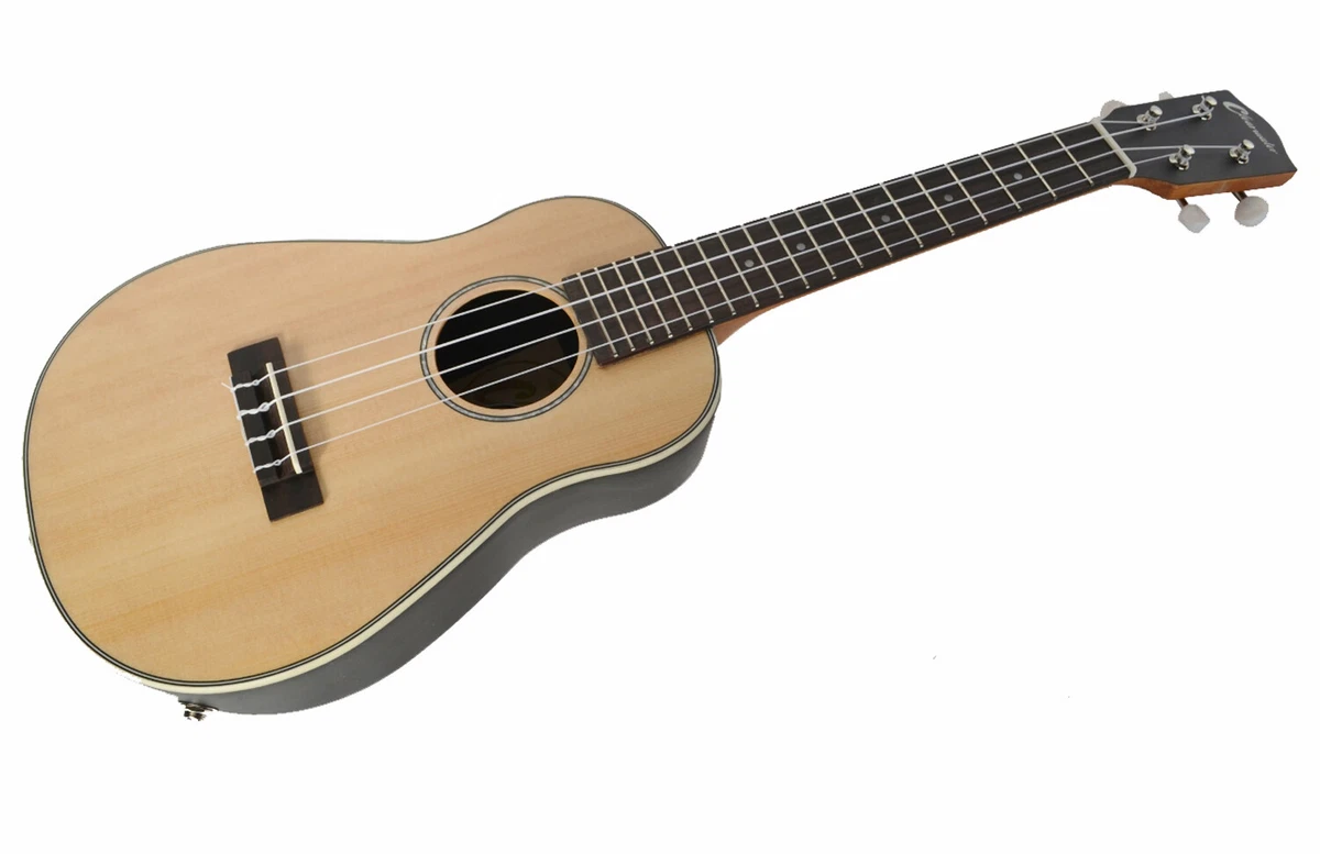 Ebay ukulele concert deals