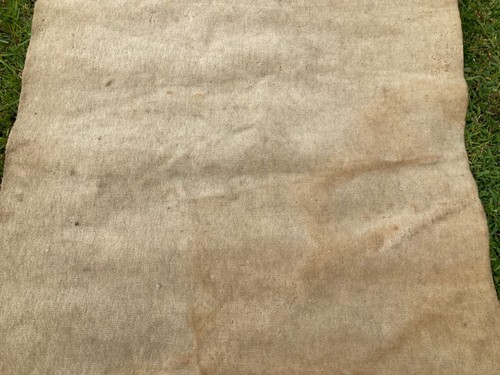 English Wilton Short Wool Carpet Biscuit ColorBought new 1985, has small damage - Picture 10 of 13