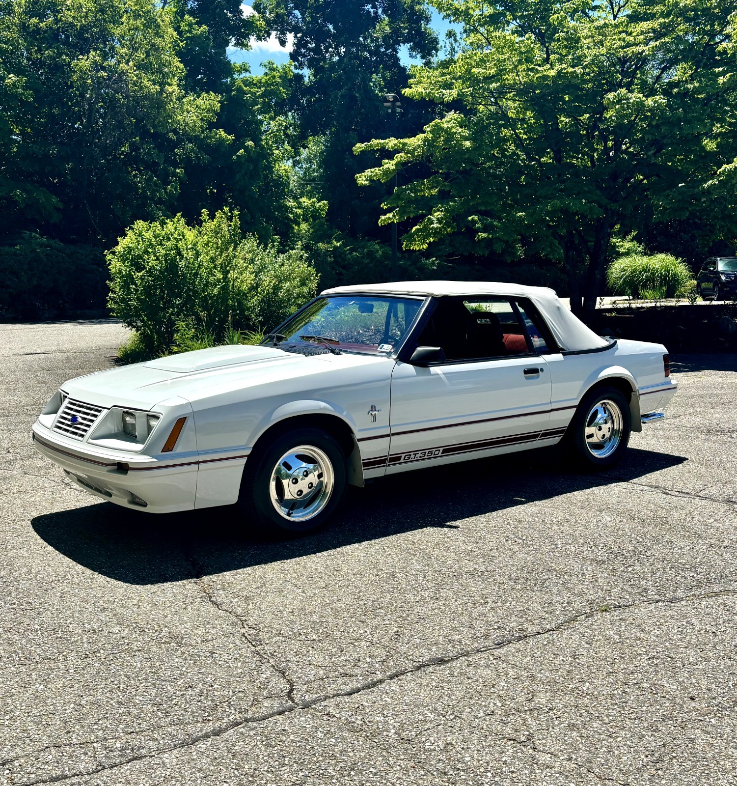1984 Ford Mustang for sale in Danbury Connecticut