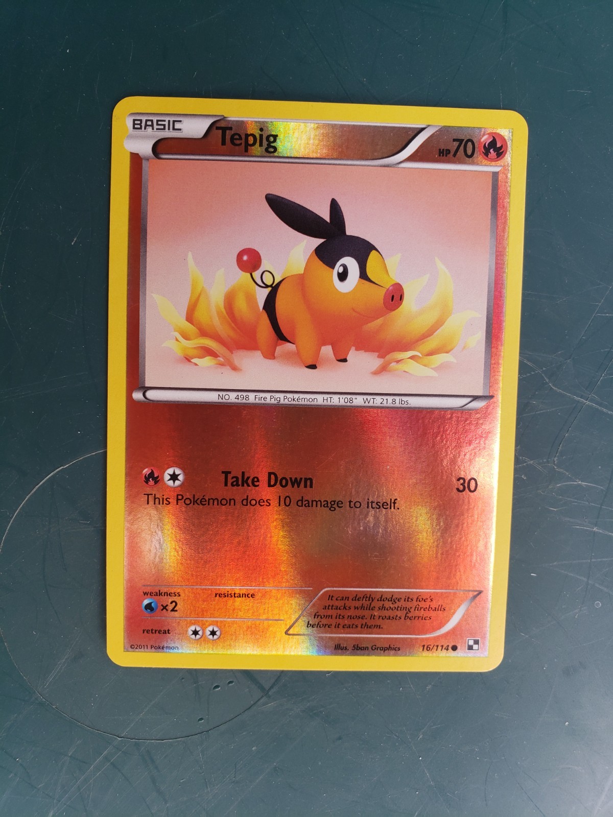Pokémon Tepig Reverse Holo 16/114 BLW Black & White NM