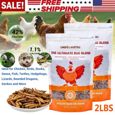 2 Lbs High Protein Dried Insect Trail Mix Natural Treat for Chickens Reptiles