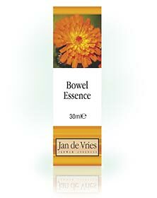 Jan De Vries Blütenessenz Darmessenz 30ml