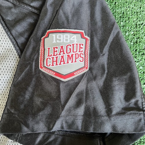Vintage Y2K PNB Nation Hip Hop Baggy 84 Black Gray Football Jersey XL 28x32" - 第 4/10 張圖片